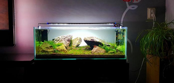 10 gallon fish tank cover
