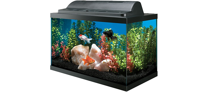 All Glass Aquarium with Eco Hood