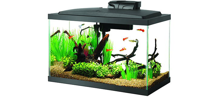 Aqueon Fish Tank with LED Lighting