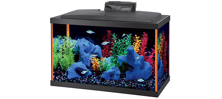 Aqueon NeoGlow Fish Tank