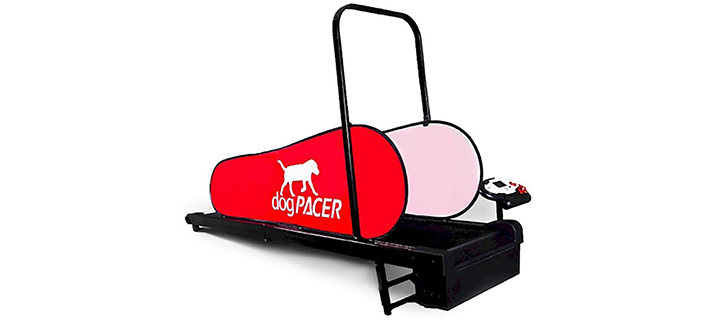 DogPACER Treadmill