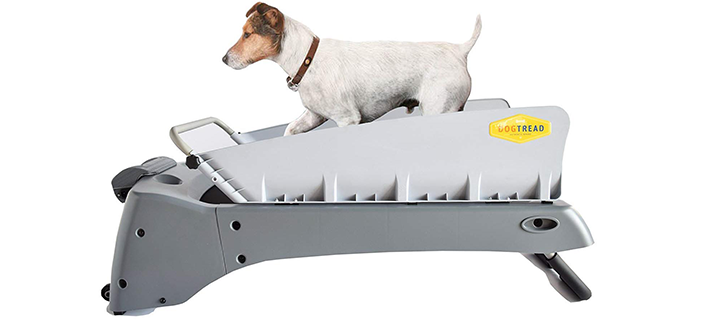 DogTread Premium Small Dog Treadmill