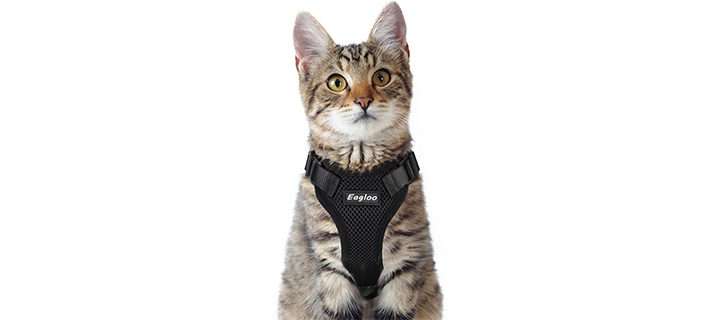 Eagloo Cat Harness with Soft Mesh