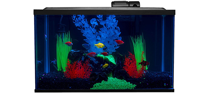 GloFish Tank with Robust Construction