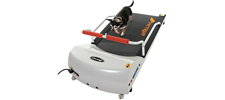 Go Pet Petrun Pr700 Dog Treadmill