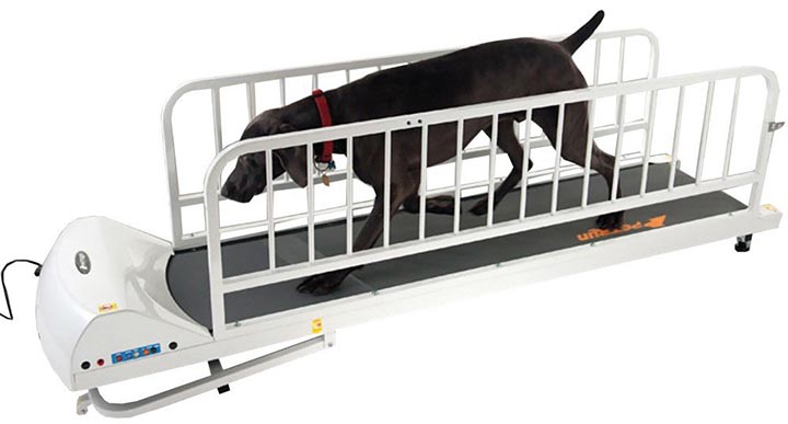 GoPet Treadmill for Big Dogs