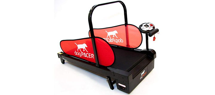 MiniPacer Dog Treadmill