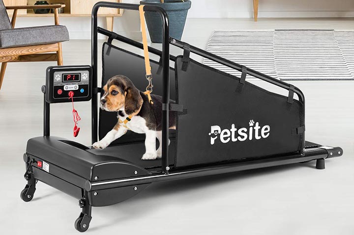 PETSITE Dog Treadmill