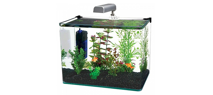 Penn Plax Fish Tank with Curved Corners