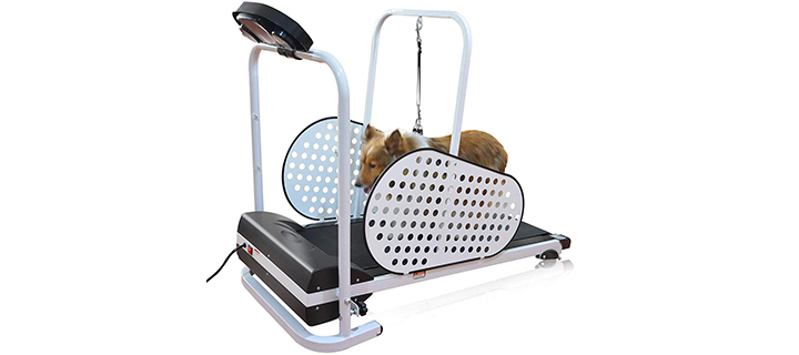 Shelandy Motorized Treadmill